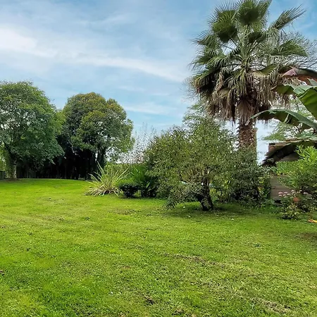 Dom wakacyjny Amazing In