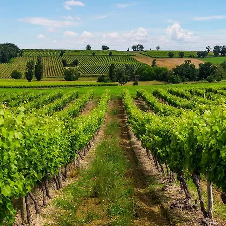 Amazing In Mauleon-D'armagnac