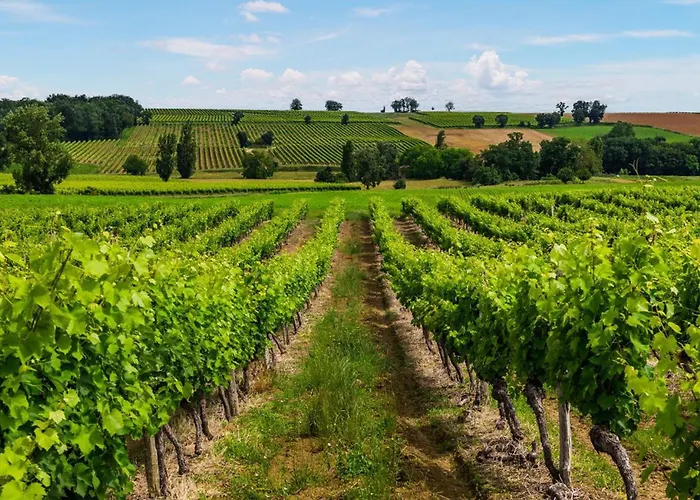 Amazing In Mauleon-D'armagnac